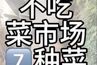 开云app下载最新版截图2